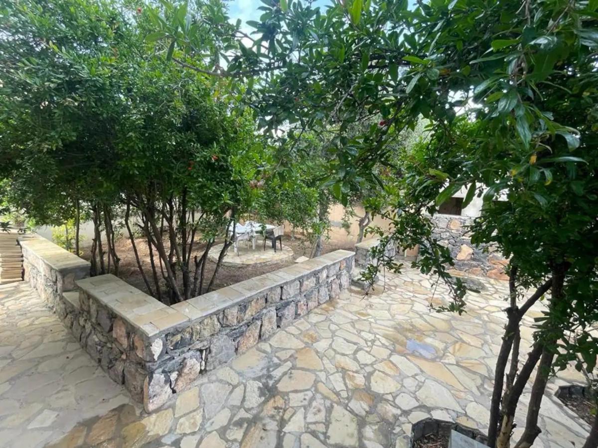 Rose Guesthouse Al 'Aqar 외부 사진
